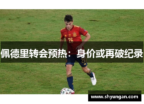 佩德里转会预热：身价或再破纪录